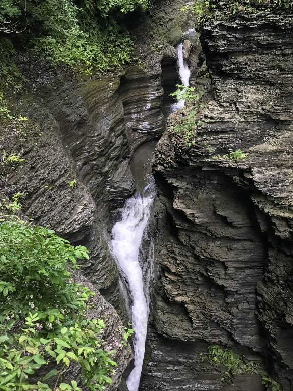 IMG_5978.JPG